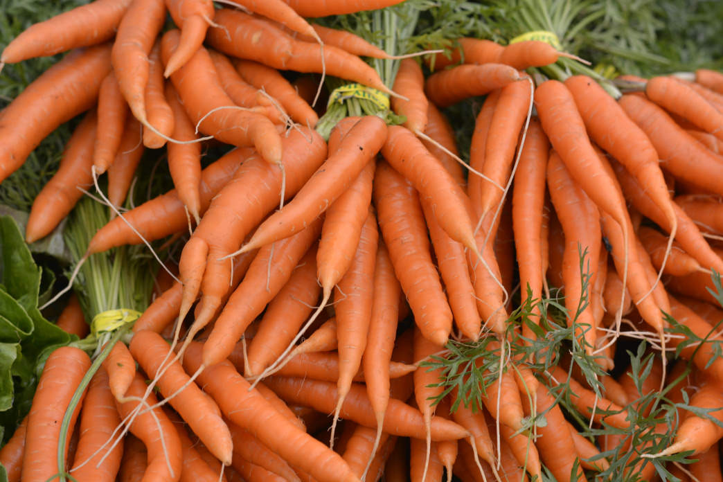 FM Carrots