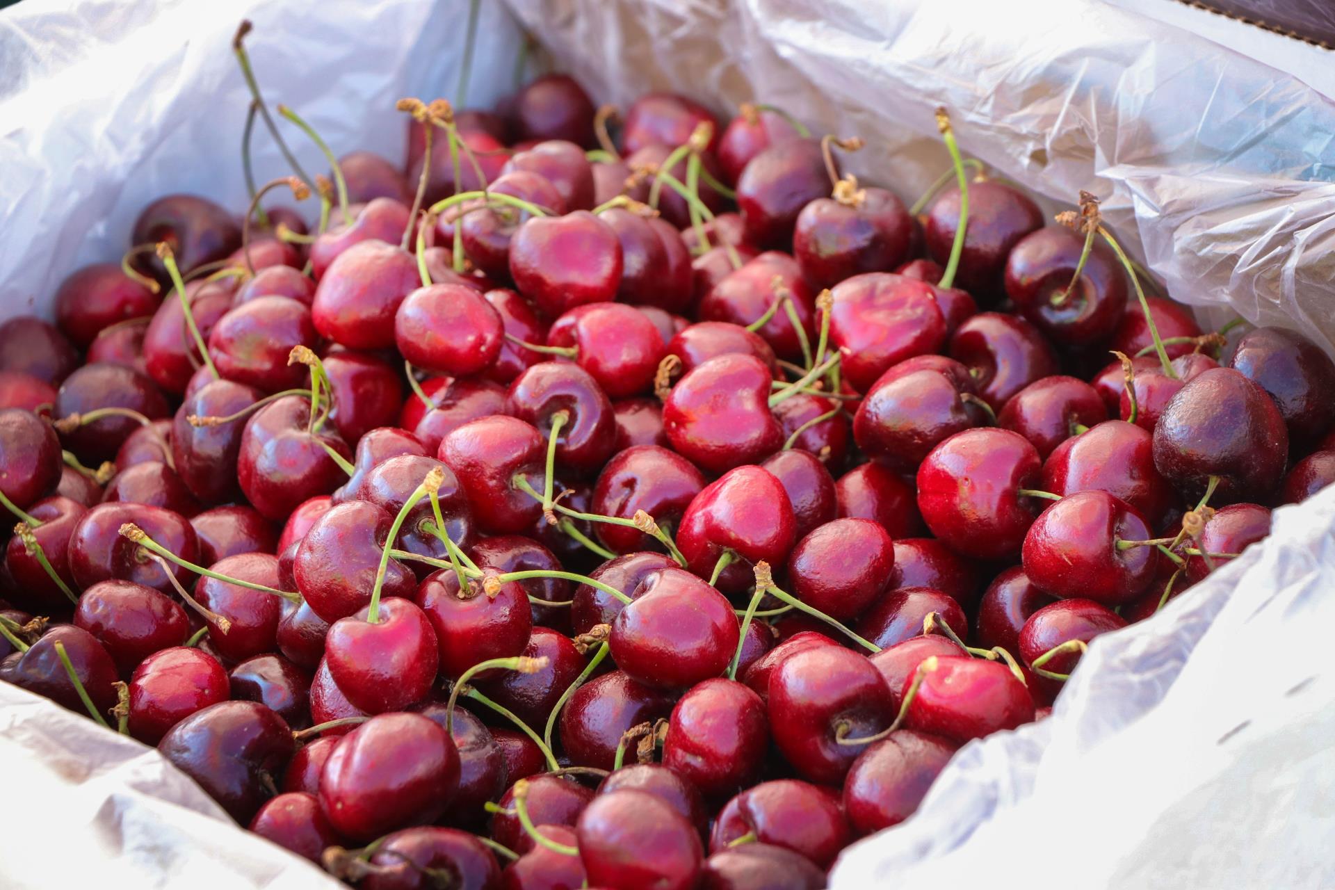 Cherries